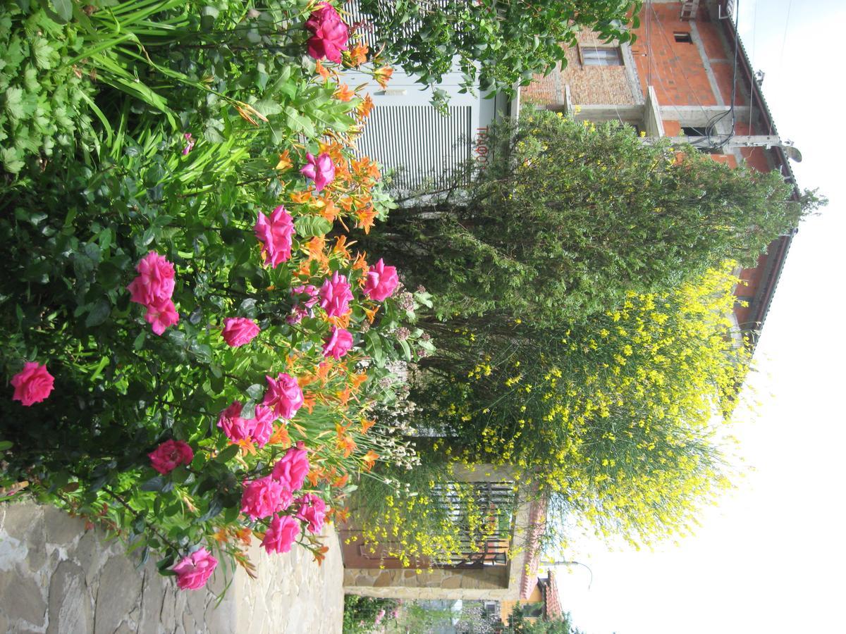 Chateau Aheloy Hotel Pomorie Esterno foto